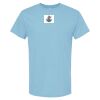 4800 - Best Value 100% Cotton T-Shirt Thumbnail