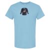 4800 - Best Value 100% Cotton T-Shirt Thumbnail